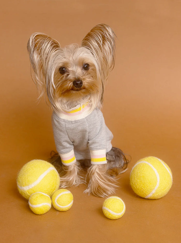 Juguete de lana para perro Tennis Ball, foto 7