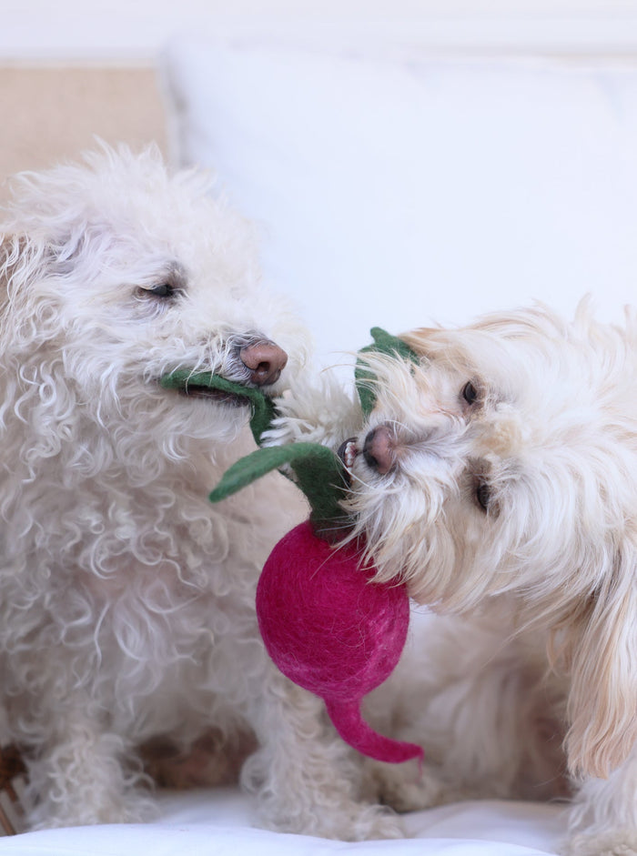 Juguete de lana para perro y gato Turnip, foto 4