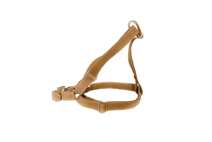 Leather Step-In Dog Harness, photo 4