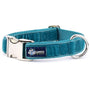 Teal Velvet Essential Dog Collar, photo 2