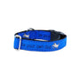 Collar para perro Be Your Own Dog Teddy The Dog Blue Essential, 1 pulg. de ancho, foto 1