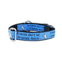 Collar para perro Friends Don't Let Friends Fetch Teddy The Dog Essential, 1 pulg. de ancho, foto 1