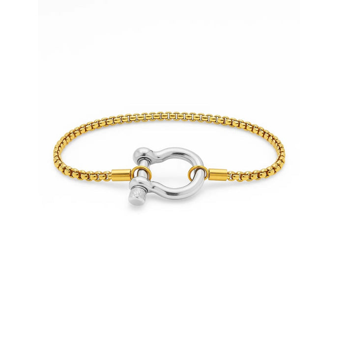Lucky Lock Horseshoe Carabiner Clasp Bracelet, photo 3