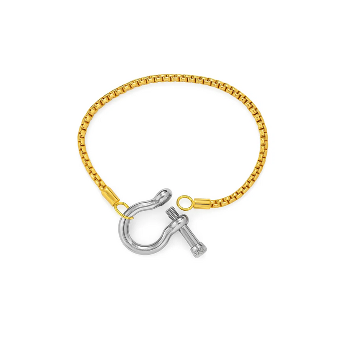 Lucky Lock Horseshoe Carabiner Clasp Bracelet, photo 10