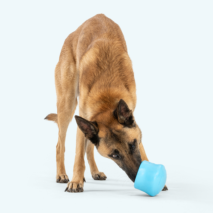 Toppl Treat Toy for Dogs, photo 5
