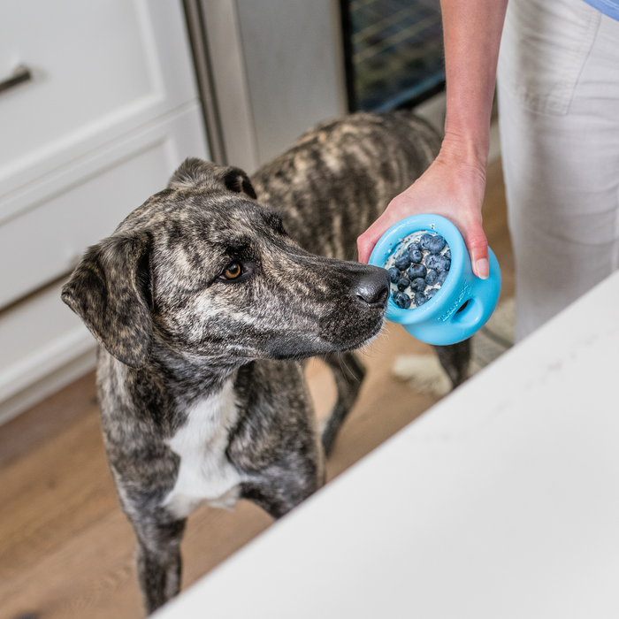 Toppl Treat Toy for Dogs, photo 6