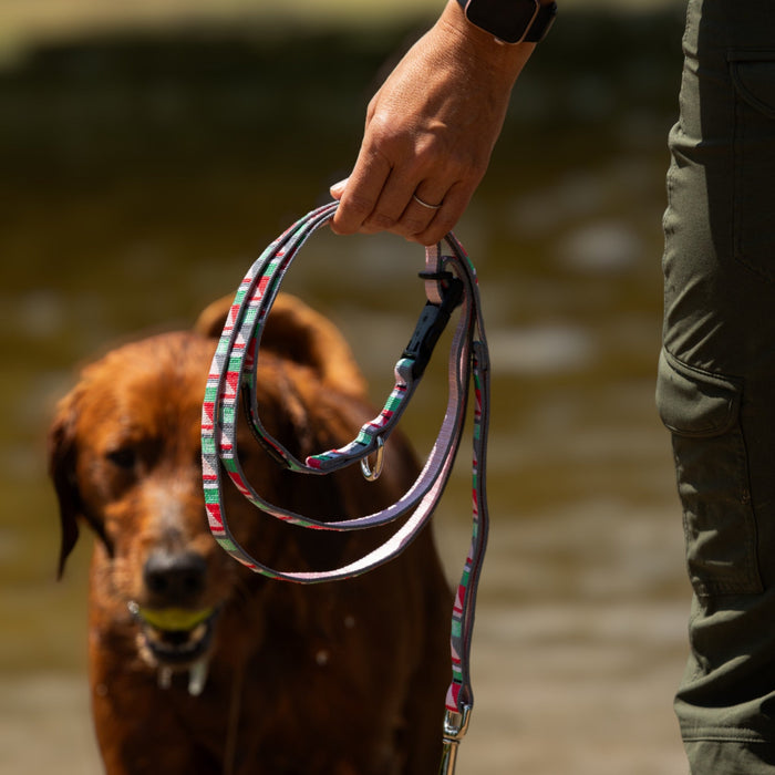 Adjustable Hands-Free Dog Leash, 1 Inch, photo 10