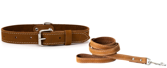 Pro Line Leather Collar and Leash Set, photo 4