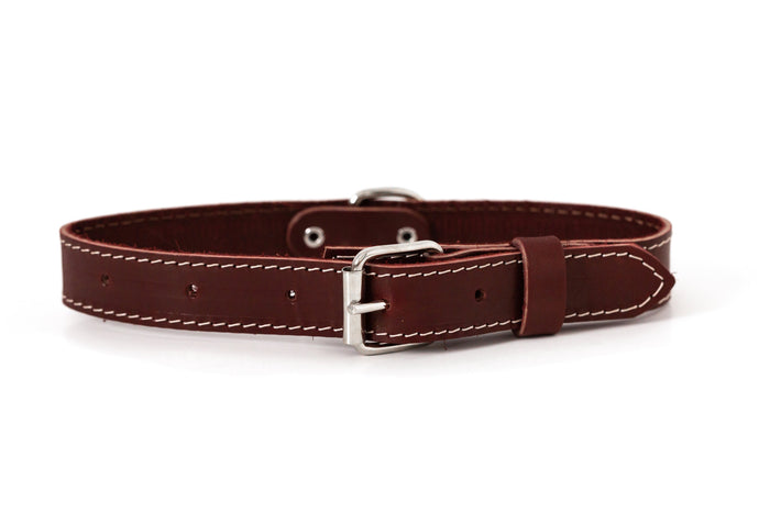 Pro Line Leather Dog Collar, photo 5