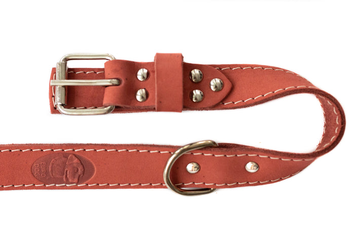 Pro Line Leather Collar and Leash Set, photo 7