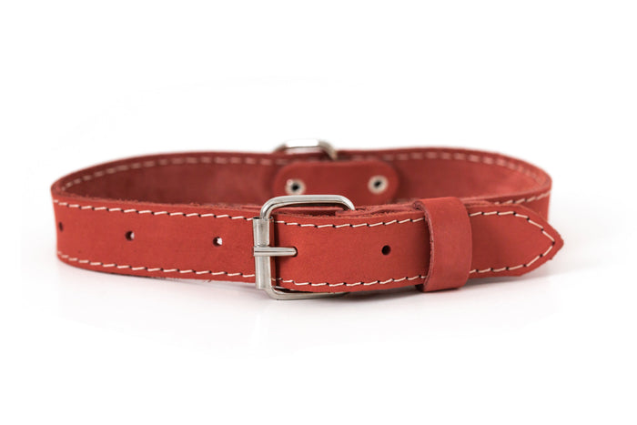 Pro Line Leather Dog Collar, photo 3