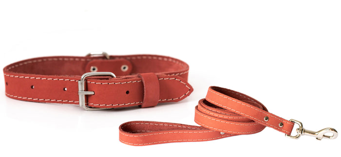 Pro Line Leather Collar and Leash Set, photo 3