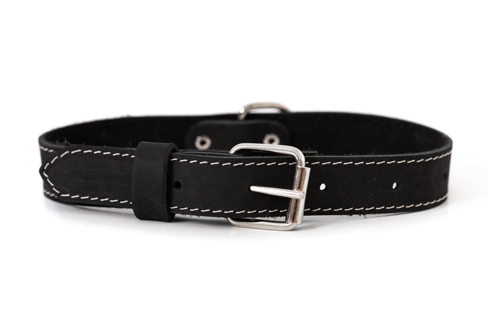 Pro Line Leather Dog Collar, photo 7