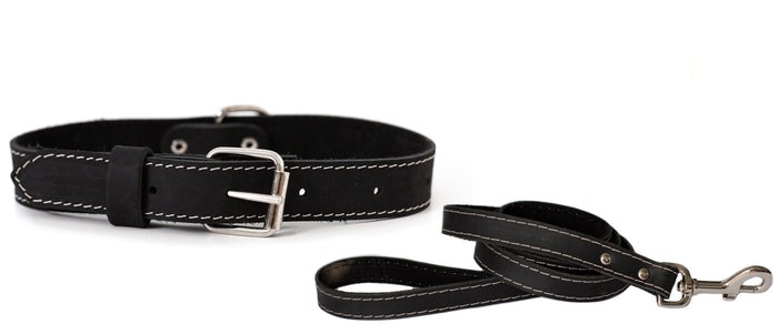 Pro Line Leather Collar and Leash Set, photo 5