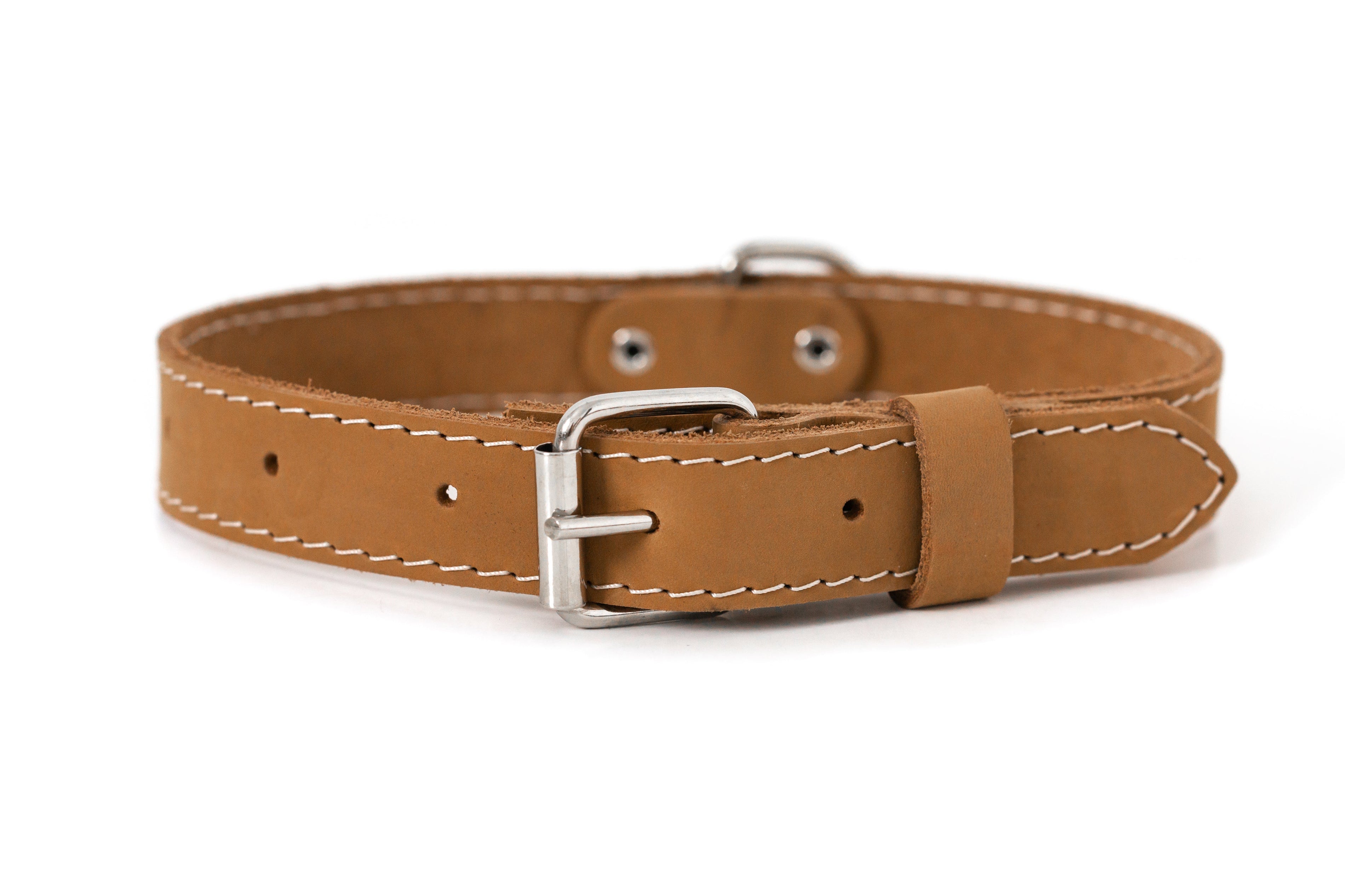 Pro Line Leather Dog Collar, photo 6