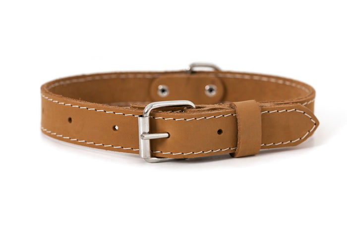 Pro Line Leather Dog Collar, photo 6