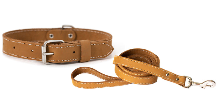 Pro Line Leather Collar and Leash Set, photo 2