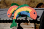 Raucous Rainbow Trout Knottie Plush Dog Toy, photo 8