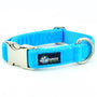 Turquoise Velvet Essential Dog Collar, photo 2