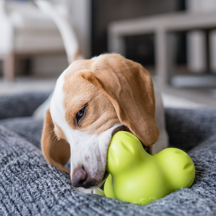 Tux Treat Toy for Dogs, photo 7