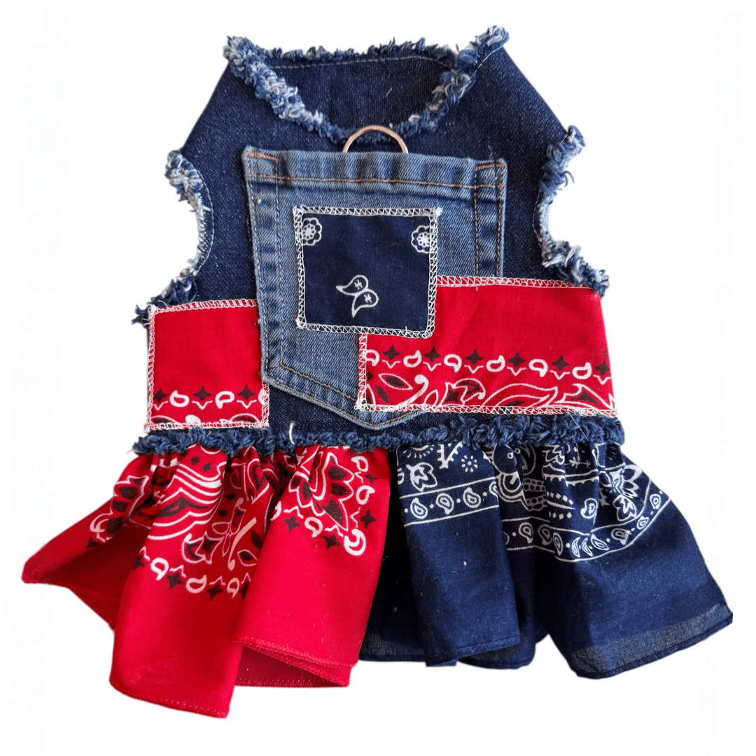 Bandana Denim Dress, photo 1