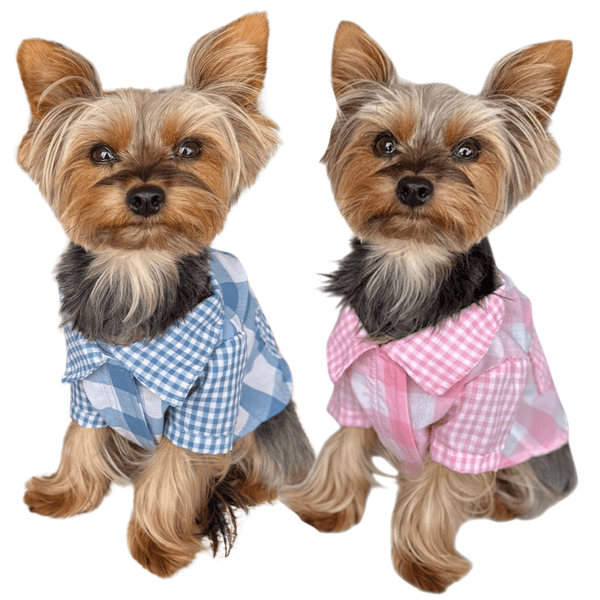 Gingham Picnic Shirt, photo 2