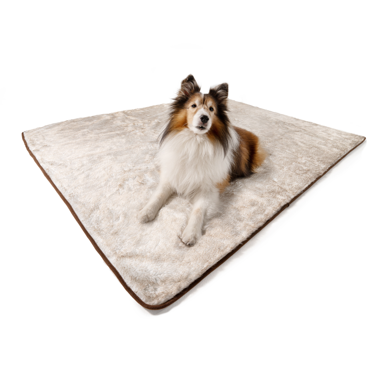 PupProtector Summer Short Fur Waterproof Throw Blanket, White with Brown Accents