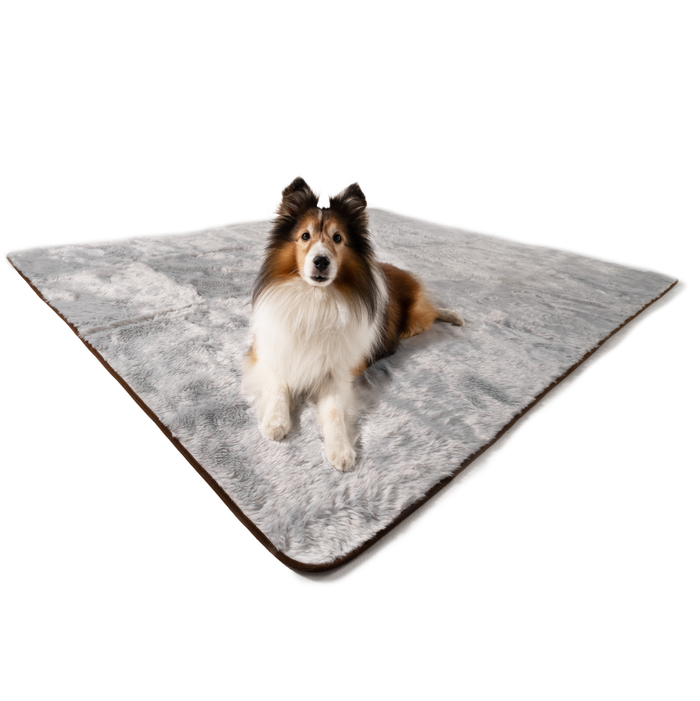 PupProtector Summer Short Fur Waterproof Throw Blanket, Grey