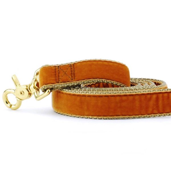 Antique Gold Velvet Dog Leash, photo 1