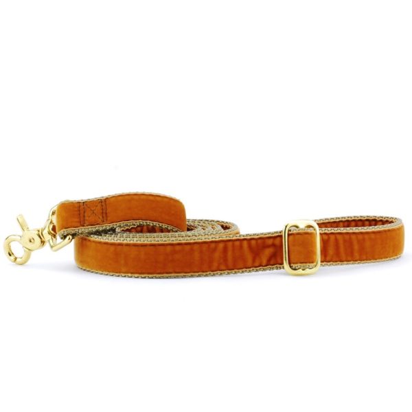 Antique Gold Velvet Dog Leash, photo 3