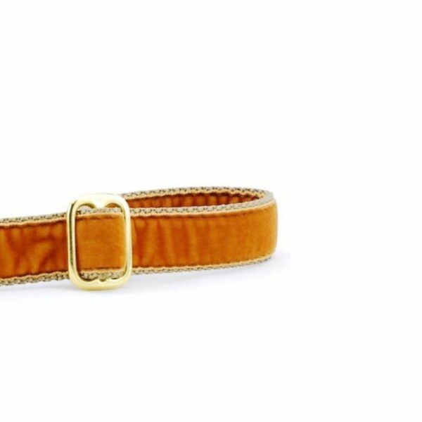 Antique Gold Velvet Dog Leash, photo 2