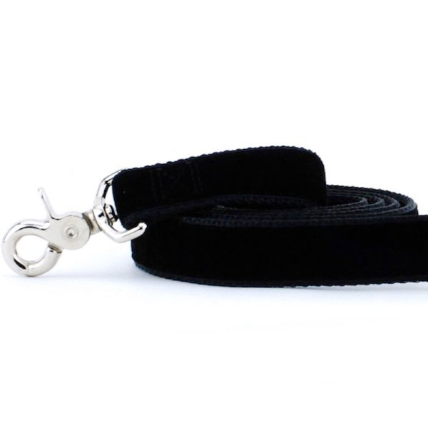 Black Velvet Dog Leash, photo 1