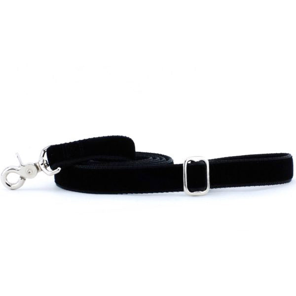 Black Velvet Dog Leash, photo 3