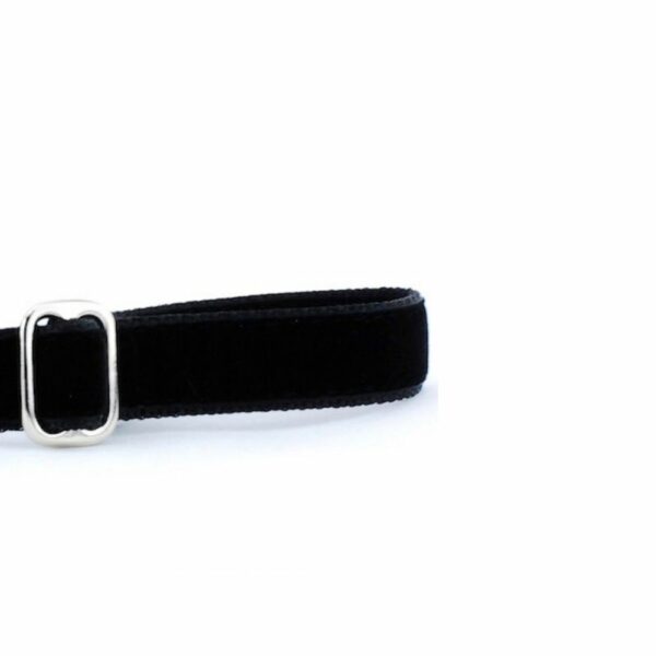 Black Velvet Dog Leash, photo 2