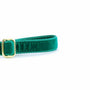 Emerald Velvet Dog Leash, photo 2