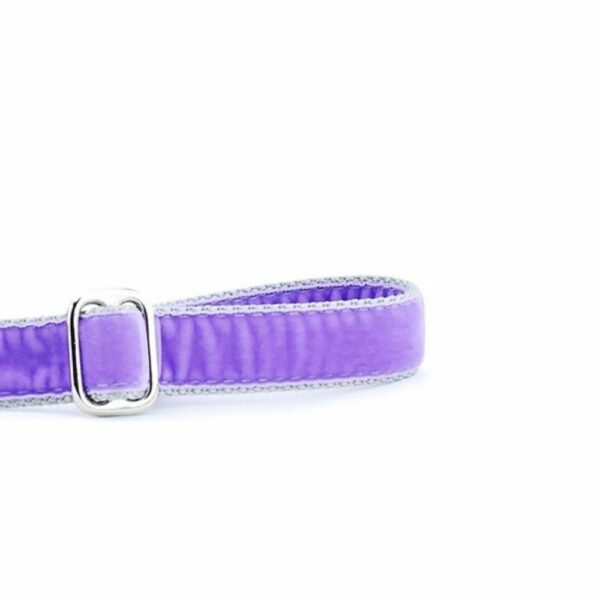 Lavender Velvet Dog Leash, photo 2