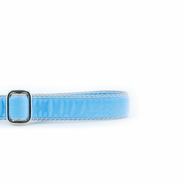 Light Blue Velvet Dog Leash, photo 2