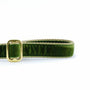 Moss Green Velvet Dog Leash, photo 2