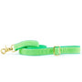 Lime Green Velvet Dog Leash, photo 3