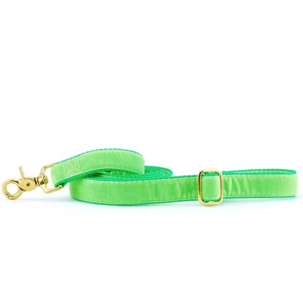 Lime Green Velvet Dog Leash, photo 3