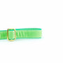 Lime Green Velvet Dog Leash, photo 2