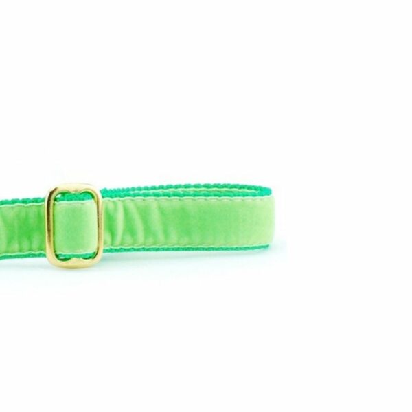 Lime Green Velvet Dog Leash, photo 2