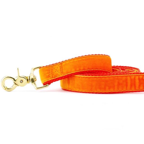 Orange Velvet Dog Leash, photo 1