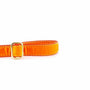 Orange Velvet Dog Leash, photo 2