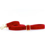 Red Velvet Dog Leash, photo 3