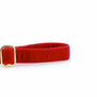 Red Velvet Dog Leash, photo 2