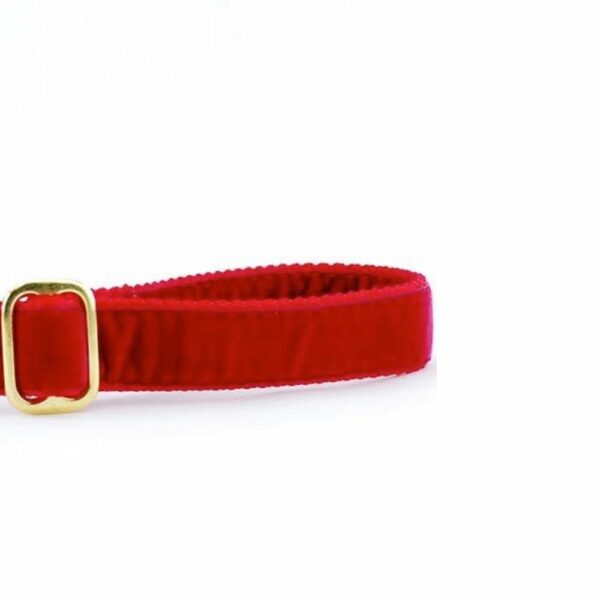 Red Velvet Dog Leash, photo 2