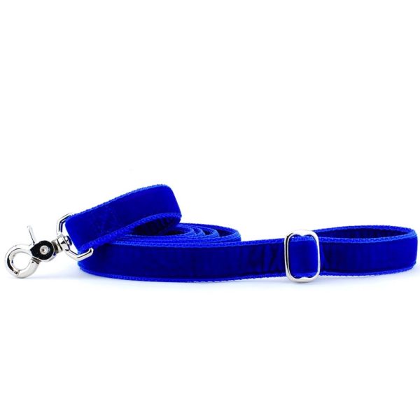 Royal Blue Velvet Dog Leash, photo 3