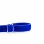 Royal Blue Velvet Dog Leash, photo 2