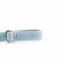 Silver Velvet Dog Leash, photo 2